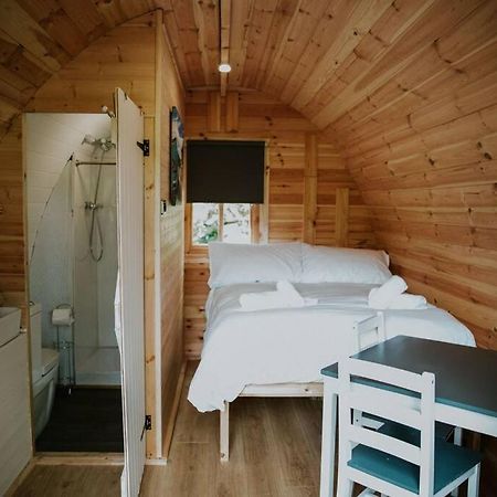 Ash Winter Retreat- Hot Tub & Log Bruner Barmouth Buitenkant foto