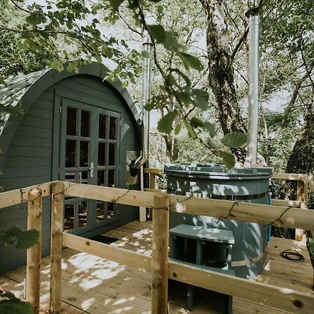 Ash Winter Retreat- Hot Tub & Log Bruner Barmouth Buitenkant foto