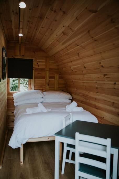 Ash Winter Retreat- Hot Tub & Log Bruner Barmouth Buitenkant foto